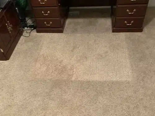 Carpet Cleaning