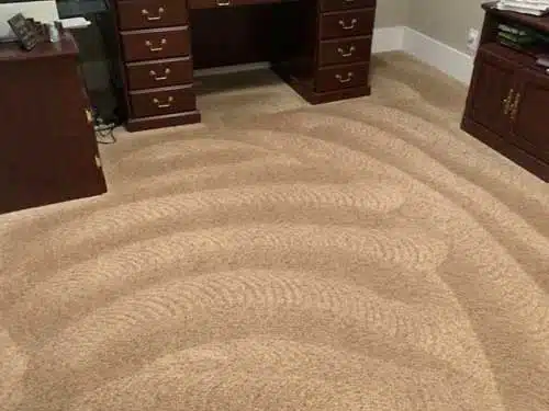 Carpet Cleaning