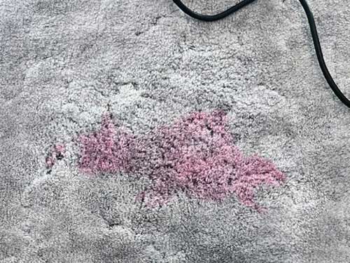 Carpet Cleaning