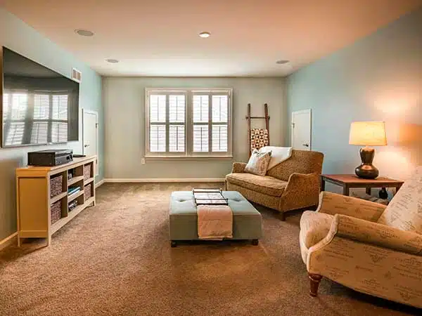 Carpet Stretching, Repair, and Color Correction Services in Pocatello