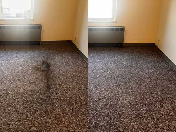 Carpet Stretching, Repair, and Color Correction Services in Pocatello