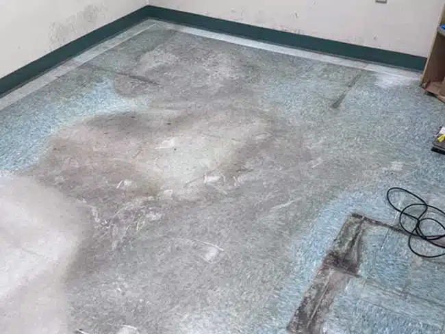 Hard Surface Cleaning