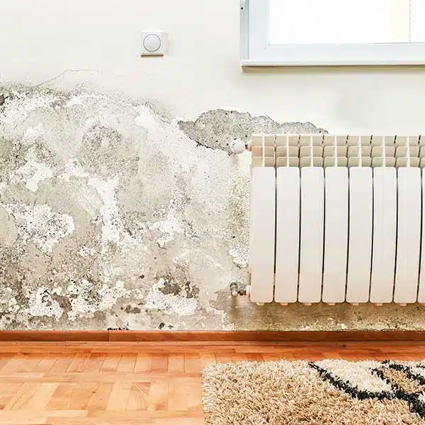 Restoration Services in Pocatello