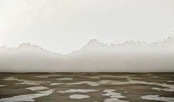 Restoration Services